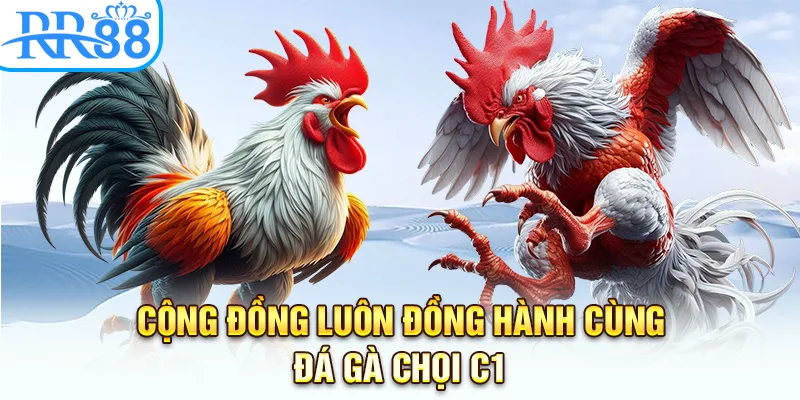 Cộng đồng luôn đồng hành cùng đá gà chọi c1