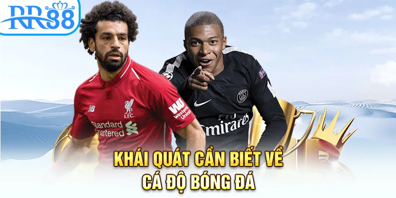 Khái quát cần biết về cá độ bóng đá