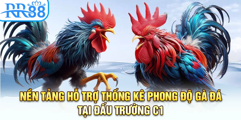 Nền tảng hỗ trợ thống kê phong độ gà đá tại đấu trường C1