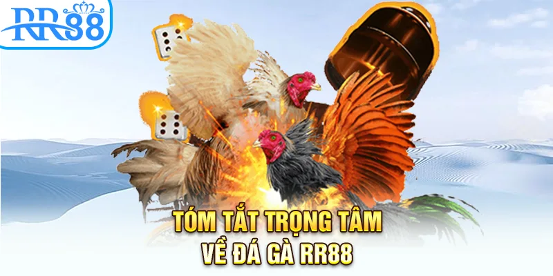 Tóm tắt trọng tâm về đá gà RR88